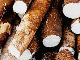 CASSAVA